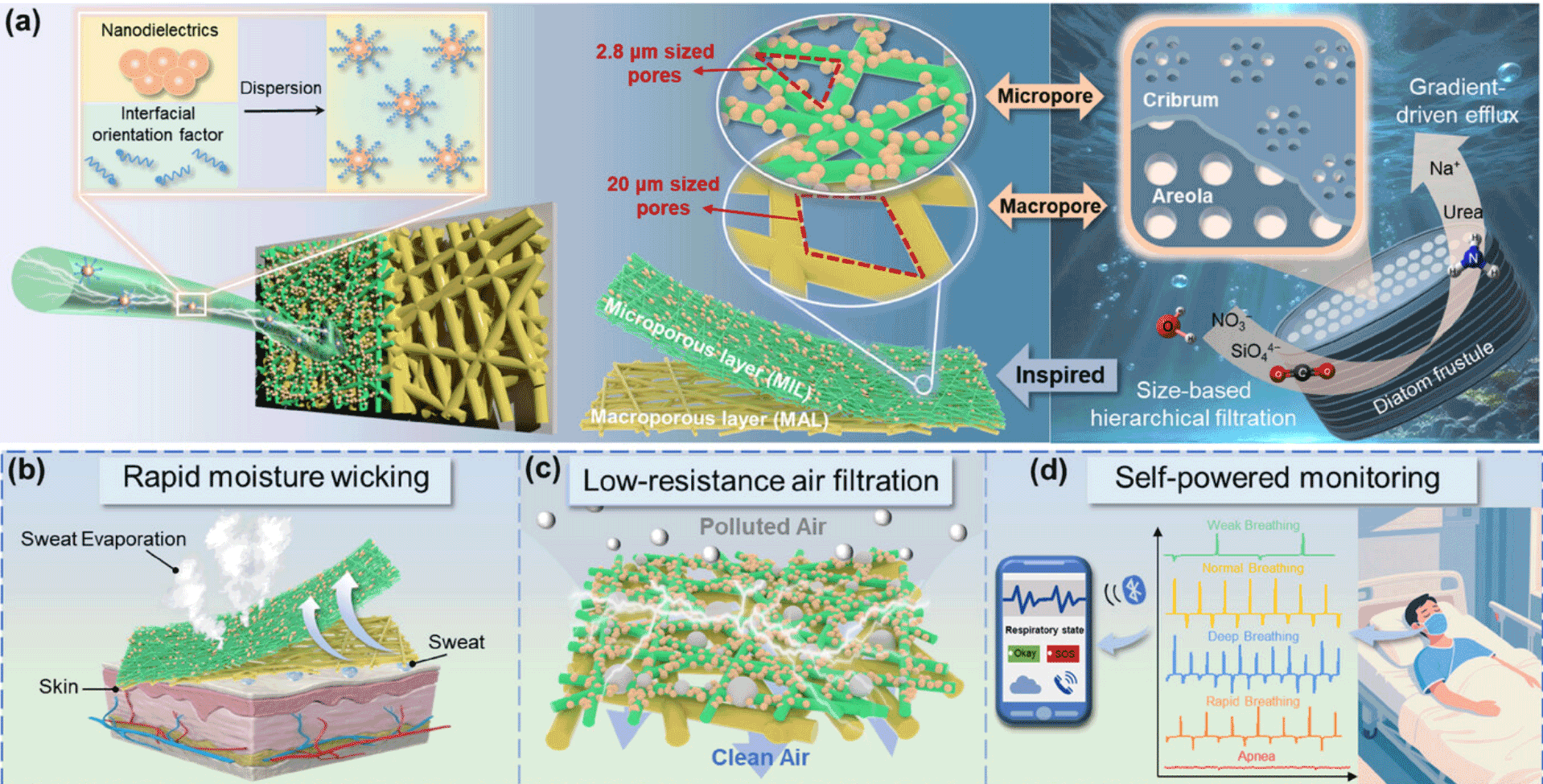 image (3).png image (3).png