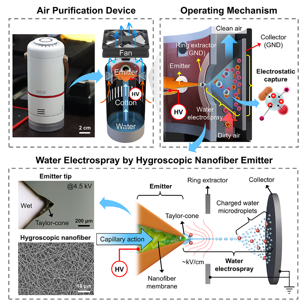 image (5).png image (5).png