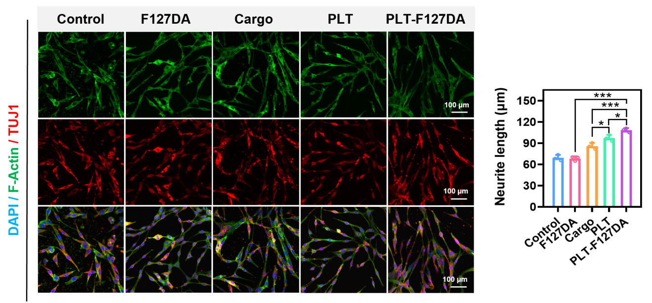 image (3).png image (3).png