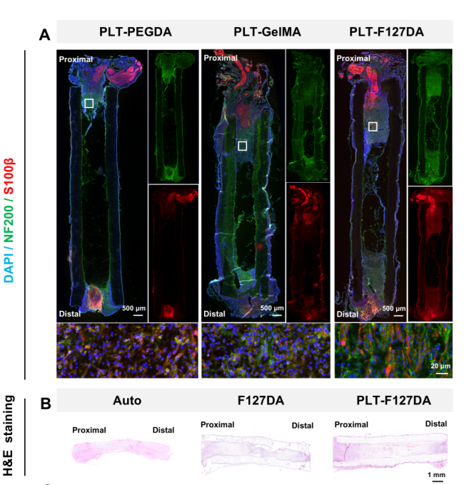 image (4).png image (4).png