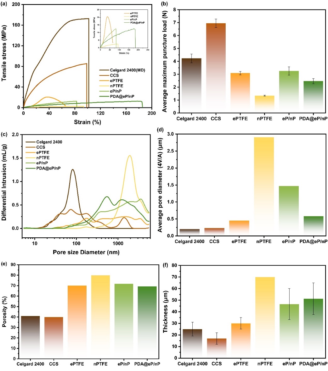 image (1).jpeg image (1).jpeg