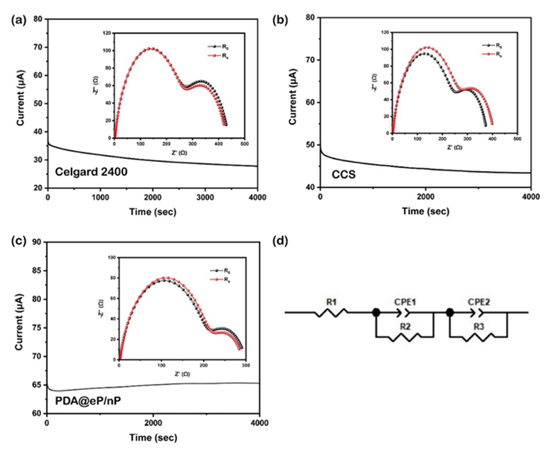 image (4).png image (4).png