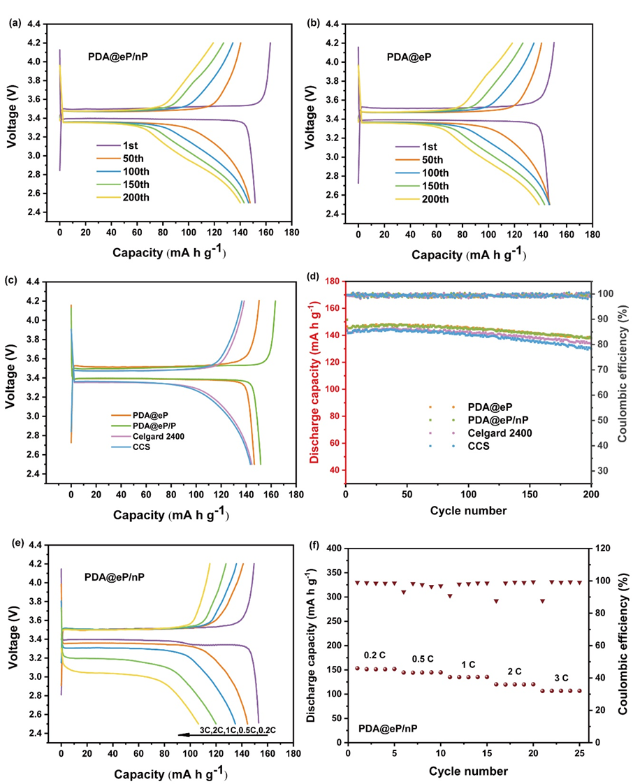 image (5).png image (5).png