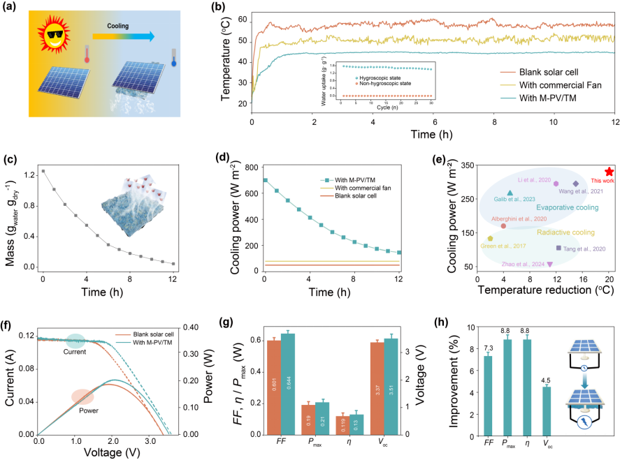 image (3).png image (3).png