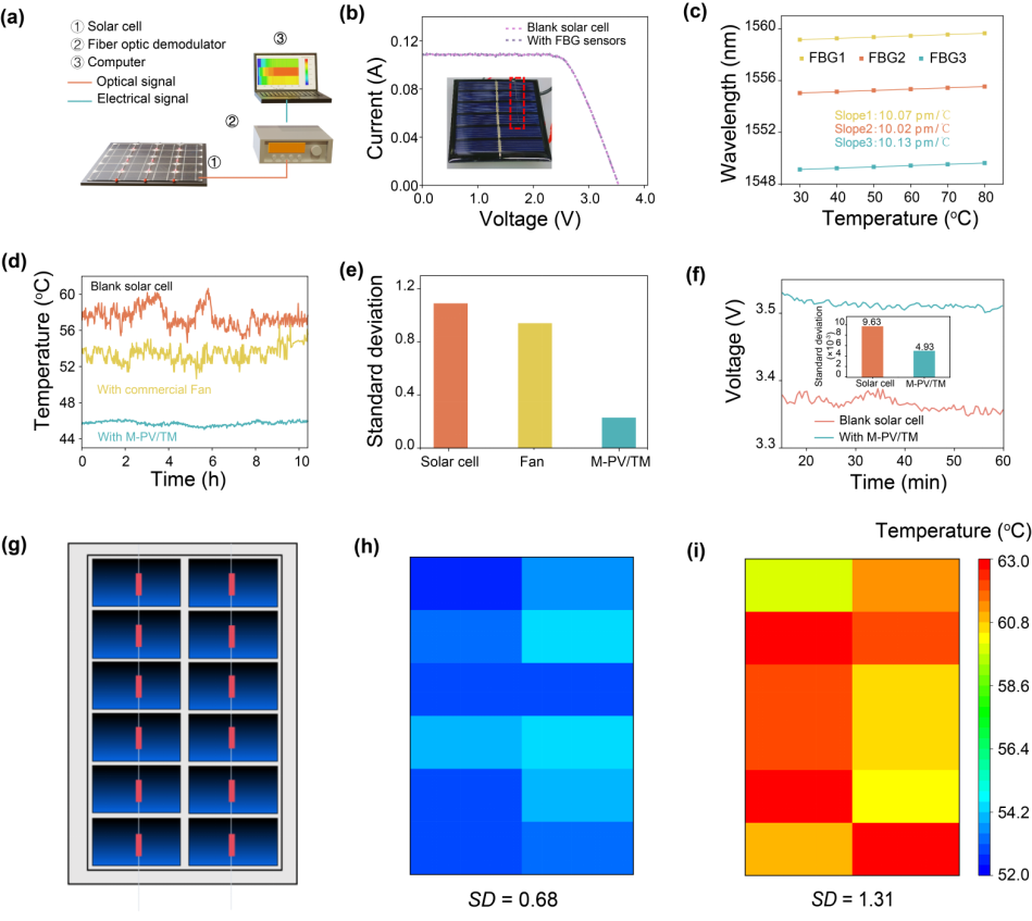 image (4).png image (4).png