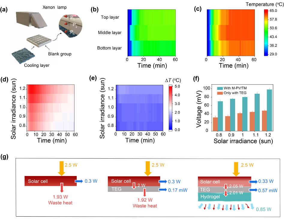 image (5).png image (5).png