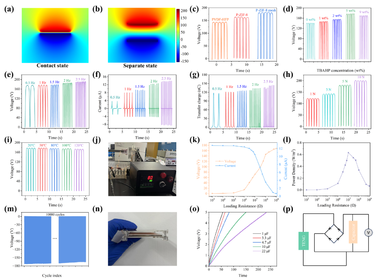 image (5).png image (5).png