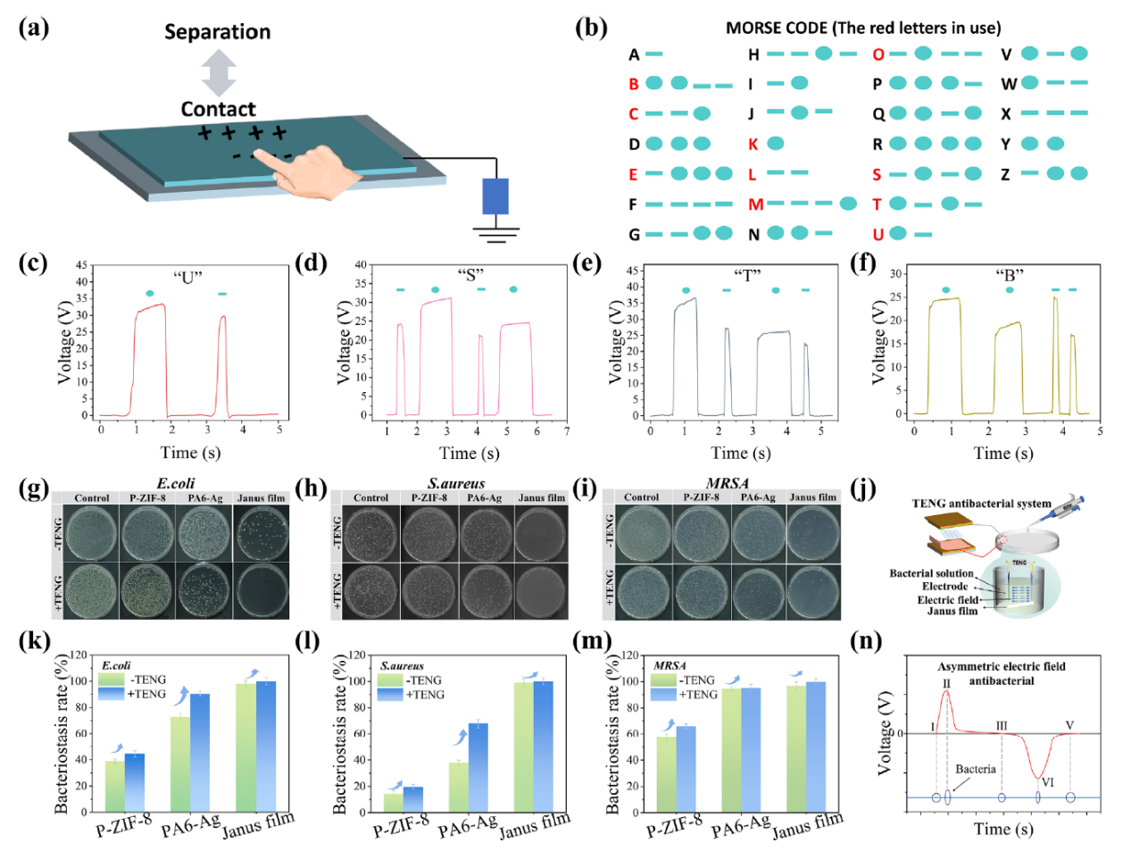 image (6).png image (6).png