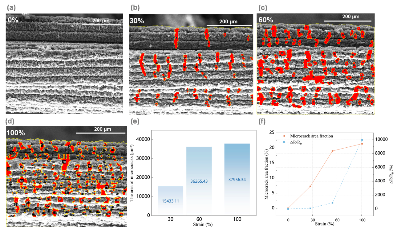 image (12).png image (12).png