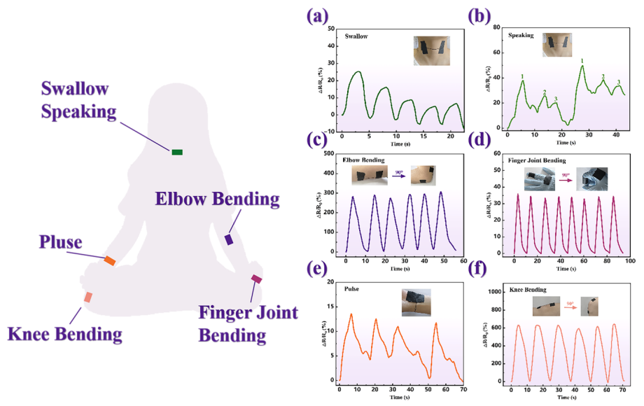 image (13).png image (13).png