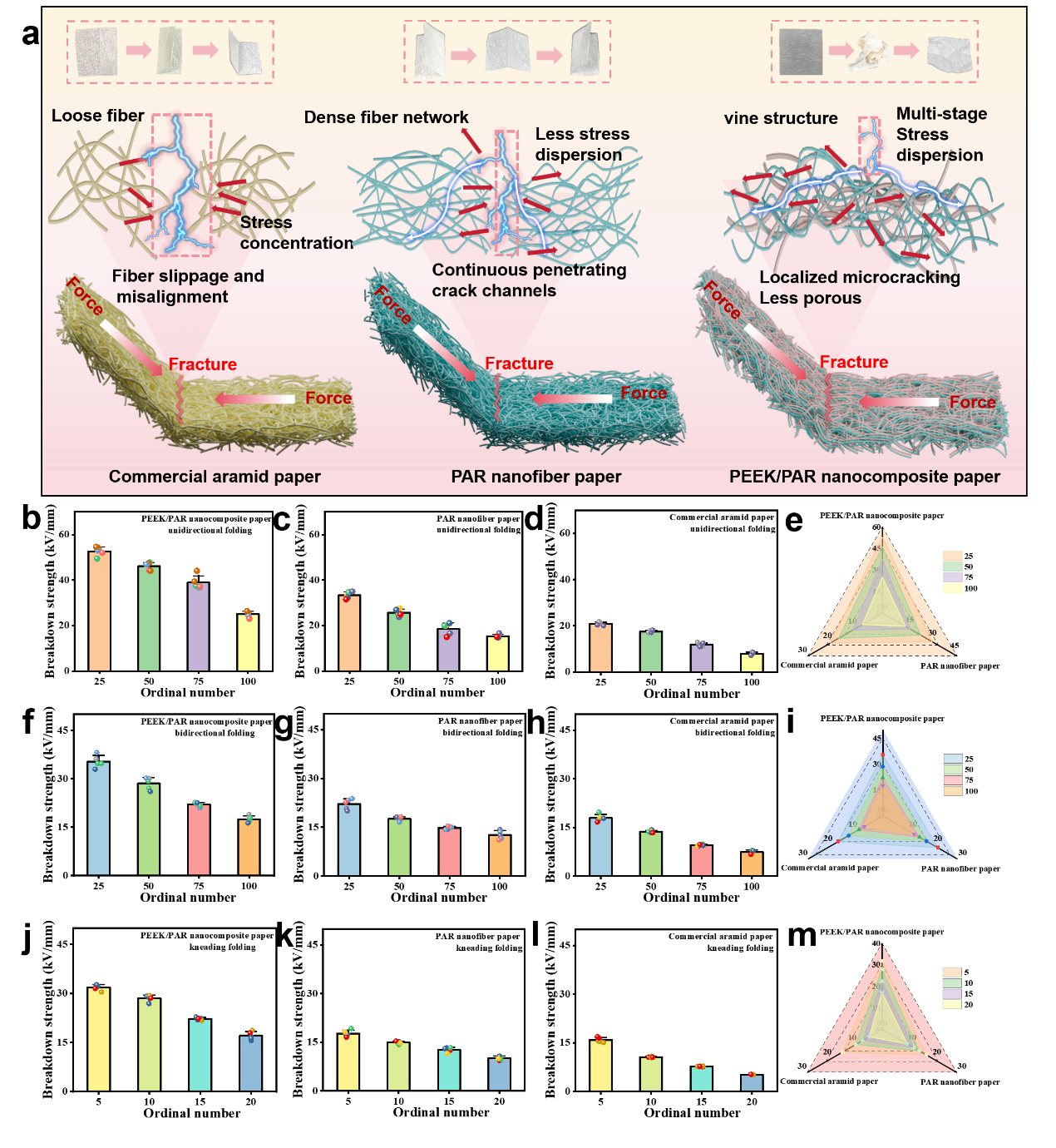 image (3).png image (3).png