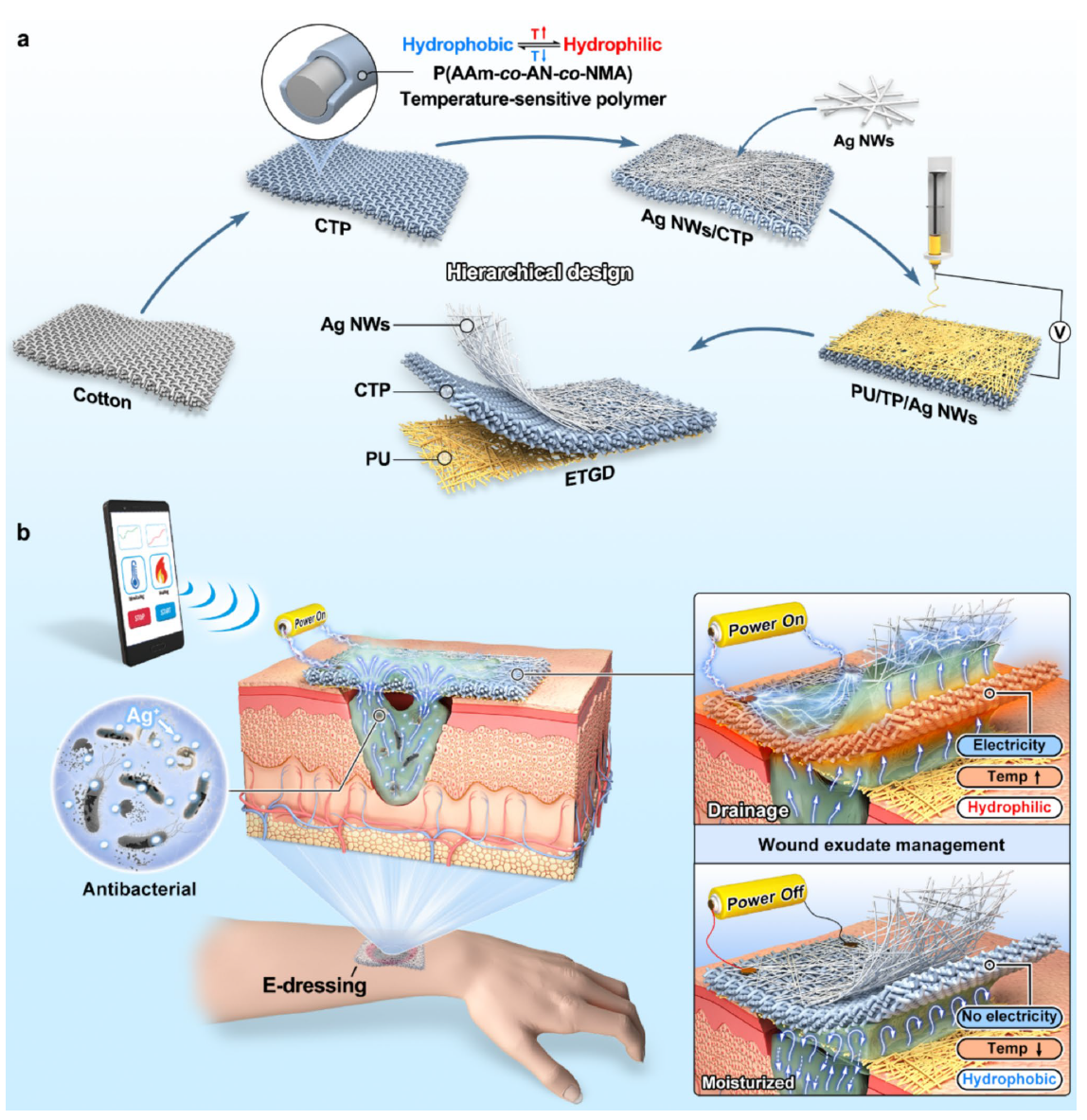 image (1).png image (1).png