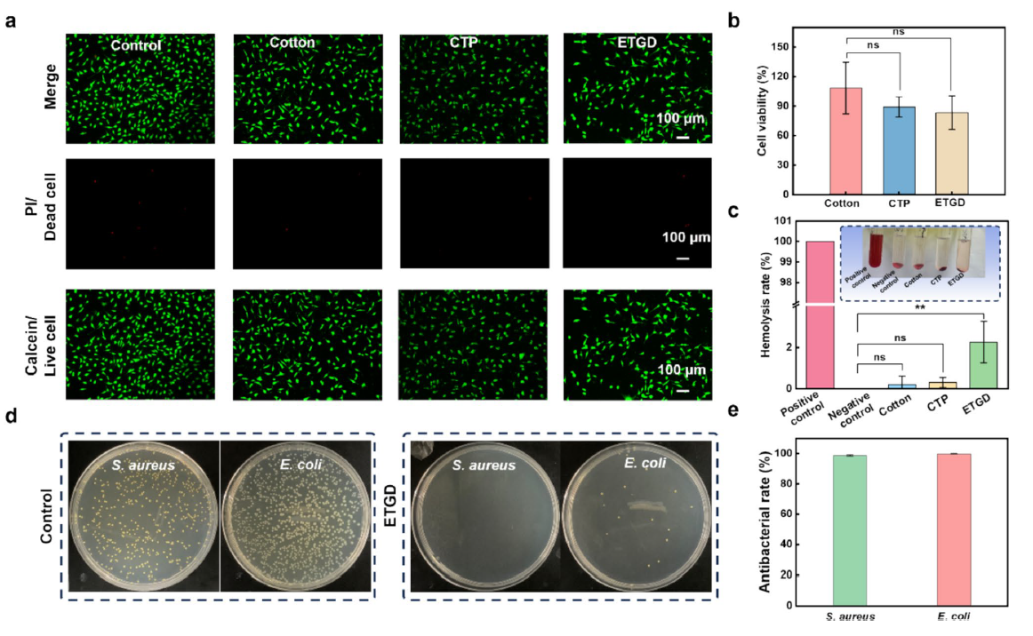 image (5).png image (5).png