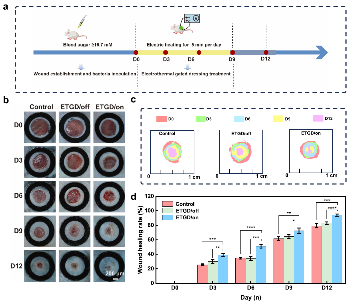 image (6).png image (6).png