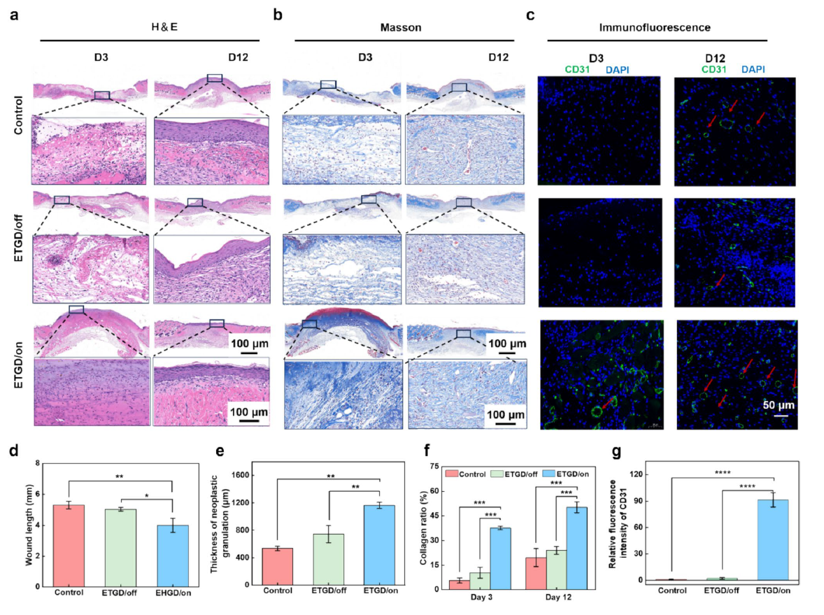 image (7).png image (7).png