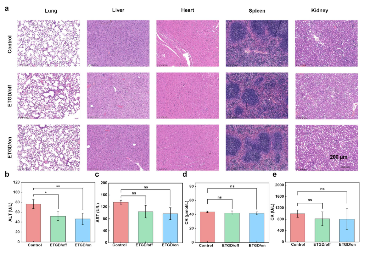 image (8).png image (8).png