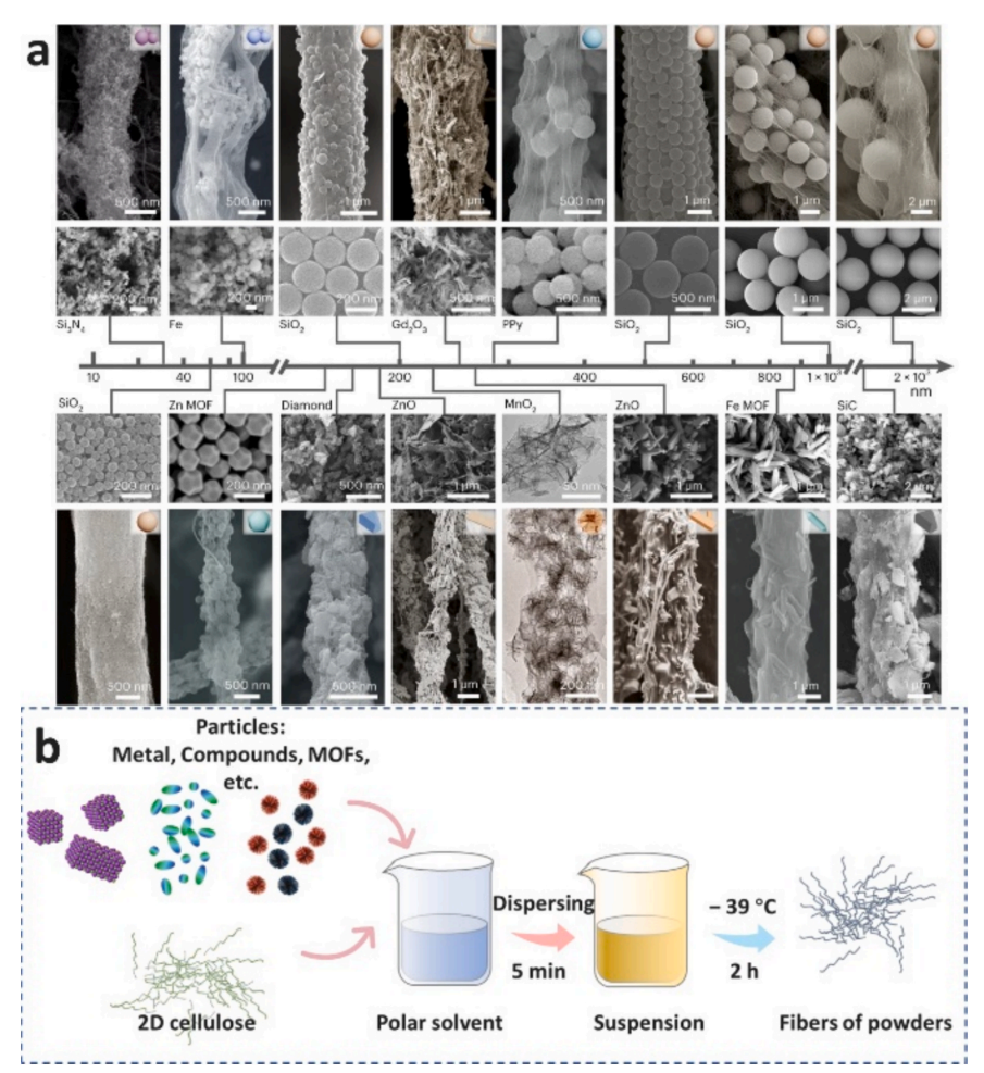 image (5).png image (5).png