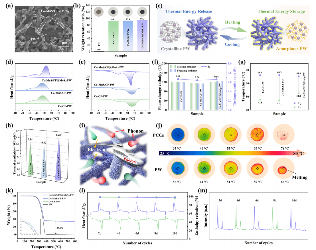 image (3).png image (3).png