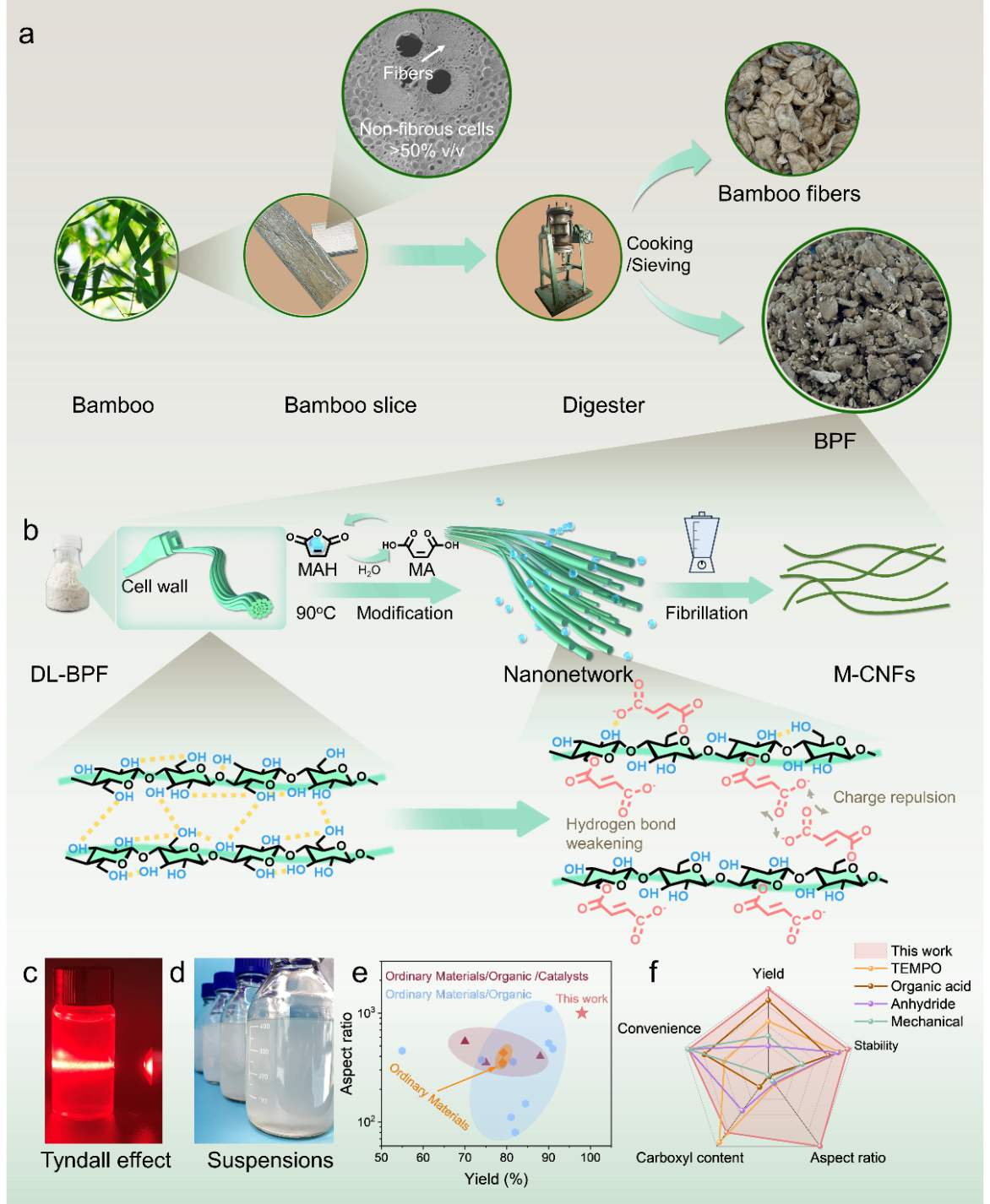 image (1).png image (1).png