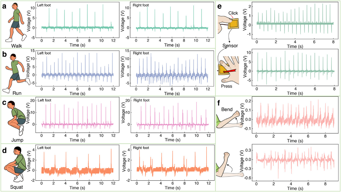 image (5).png image (5).png