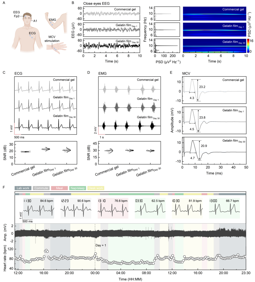 image (3).png image (3).png