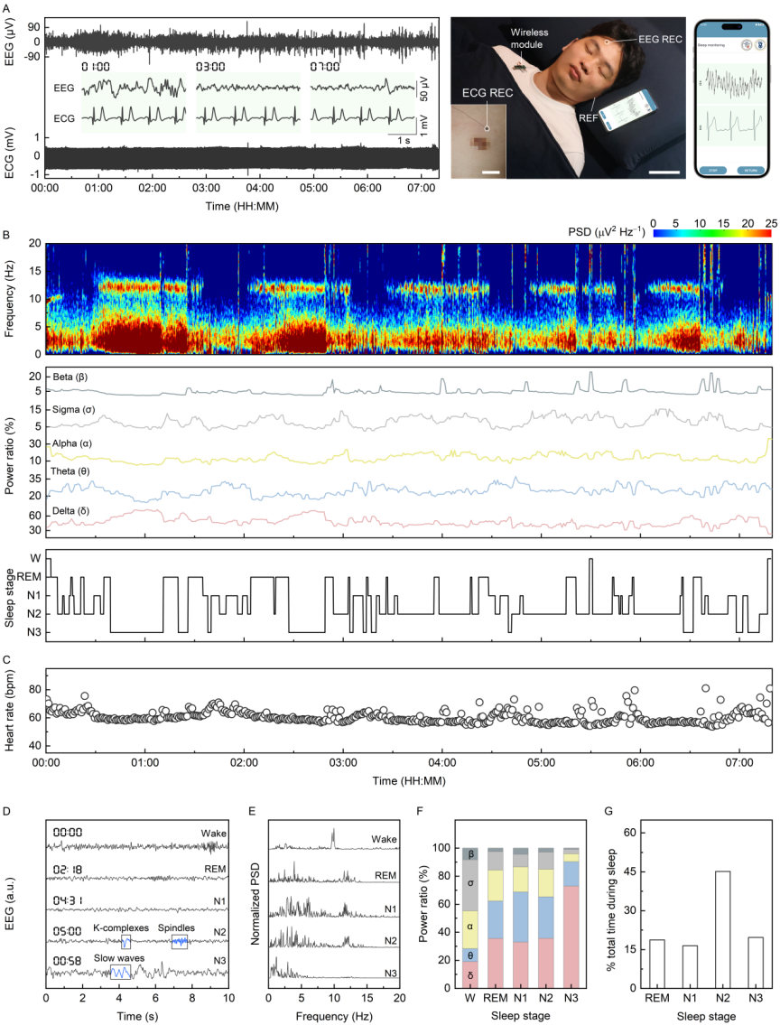 image (4).png image (4).png