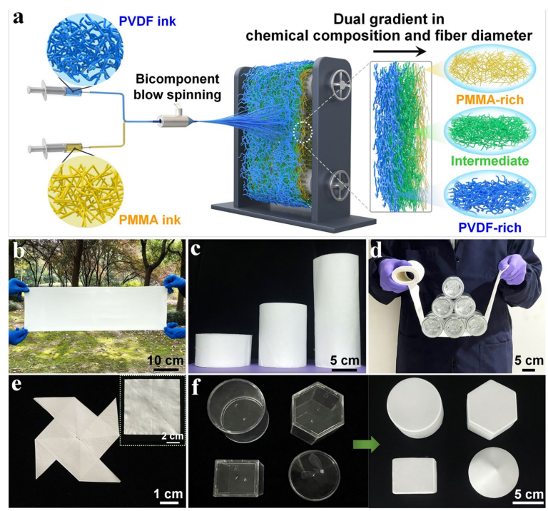 image (1).png image (1).png