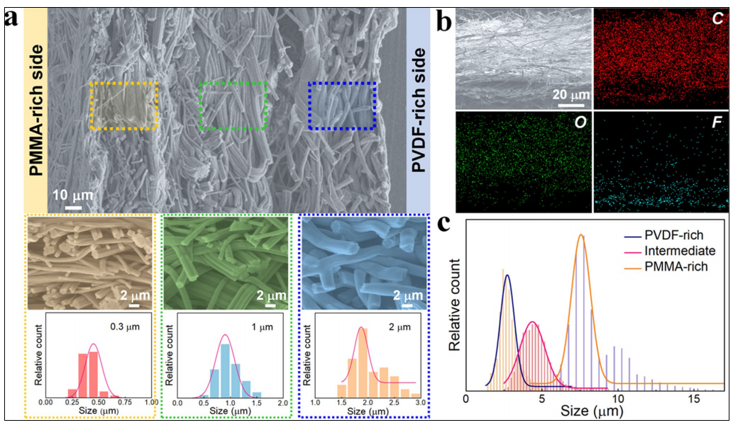 image (2).png image (2).png