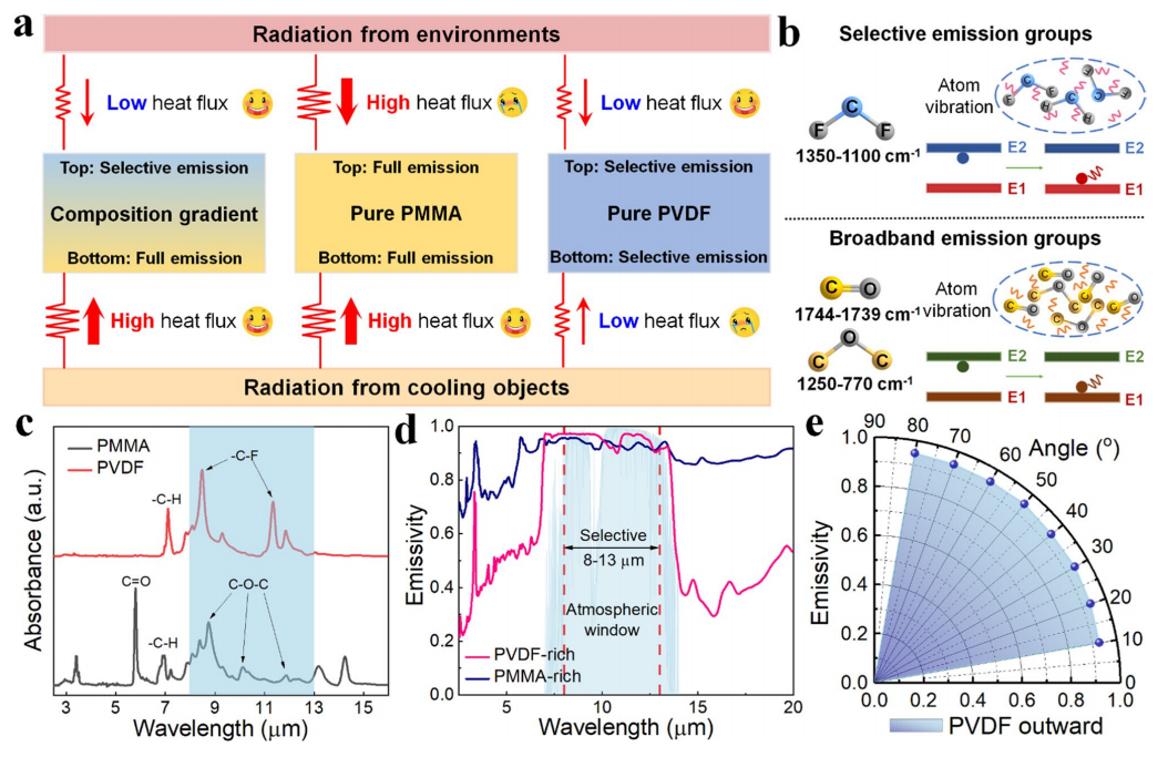 image (3).png image (3).png