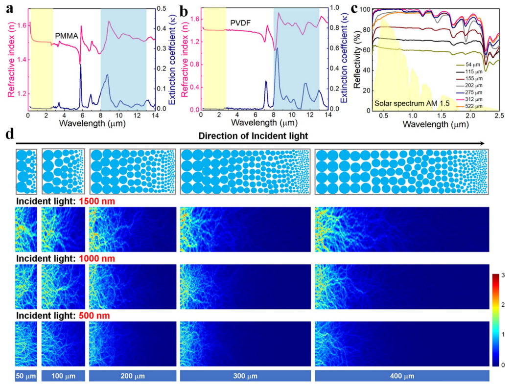 image (5).png image (5).png