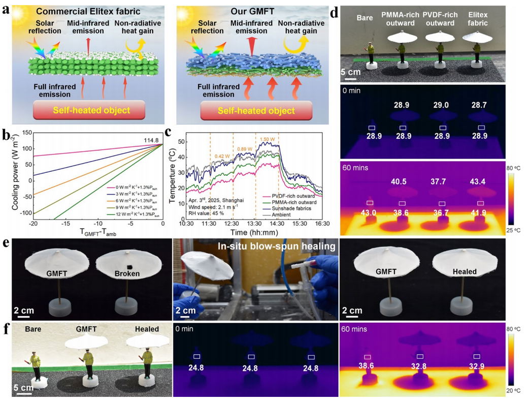 image (6).png image (6).png