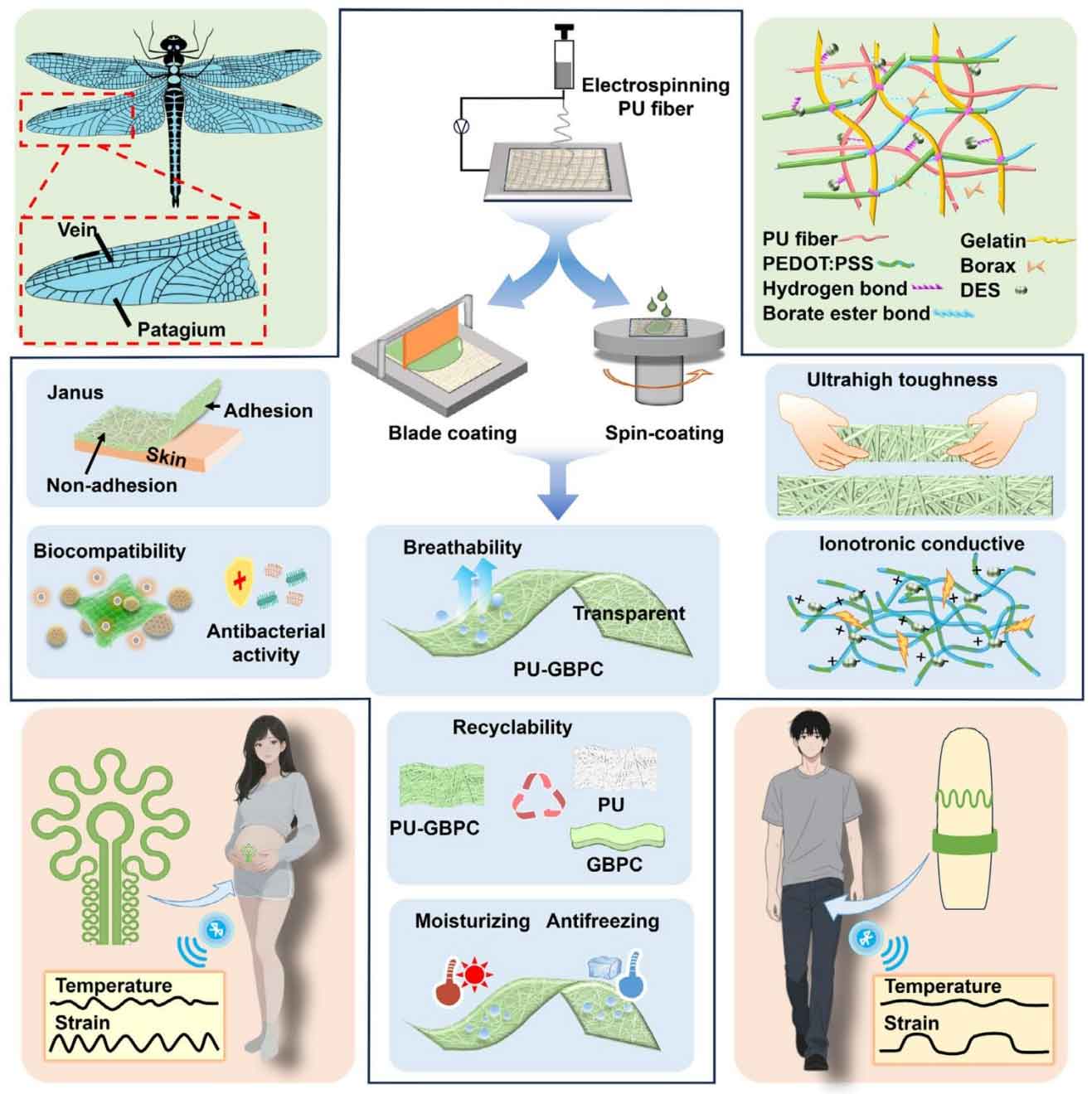 image-(1).jpg image-(1).jpg