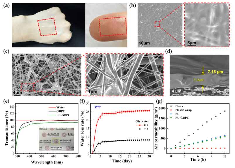image-(2).jpg image-(2).jpg