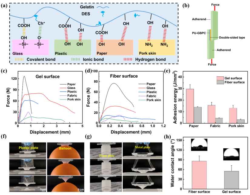 image-(4).jpg image-(4).jpg