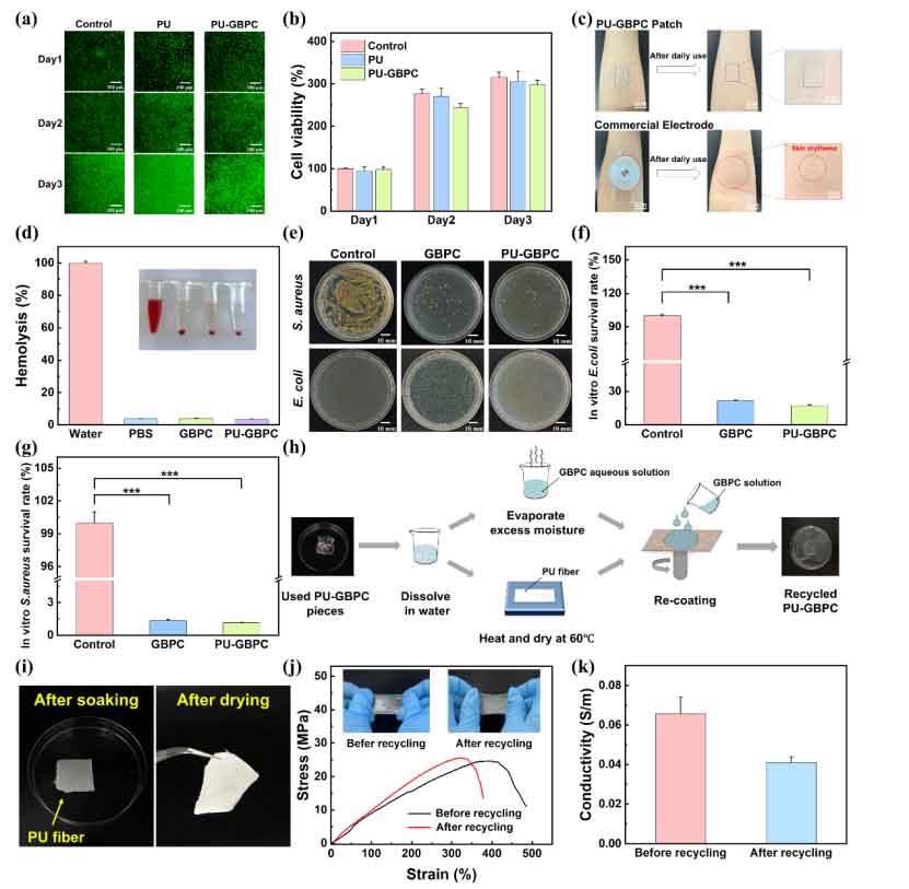 image-(5).jpg image-(5).jpg