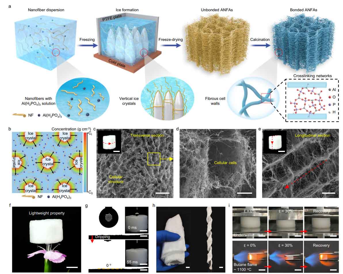 image-(1).jpg image-(1).jpg