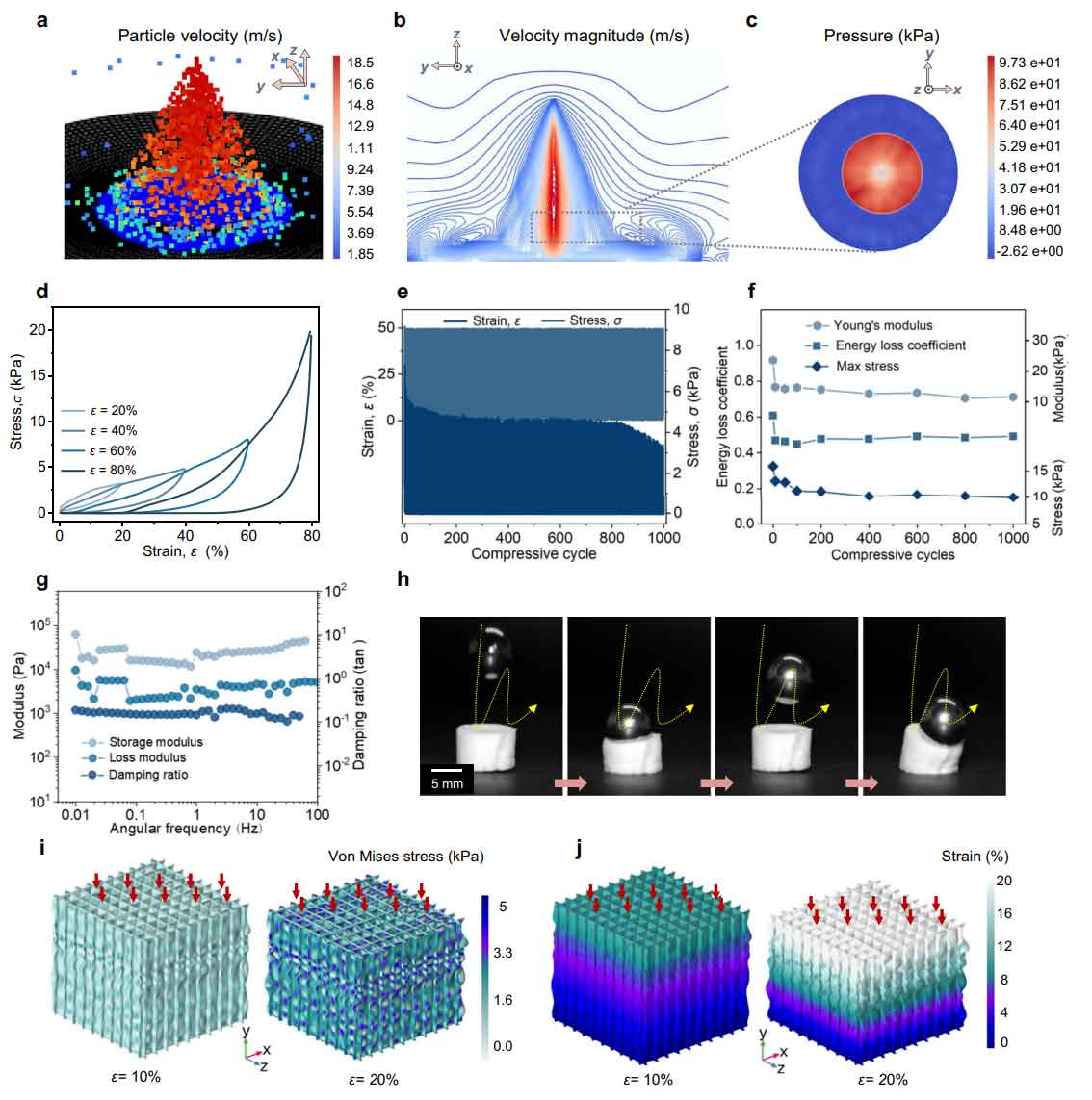 image-(6).jpg image-(6).jpg