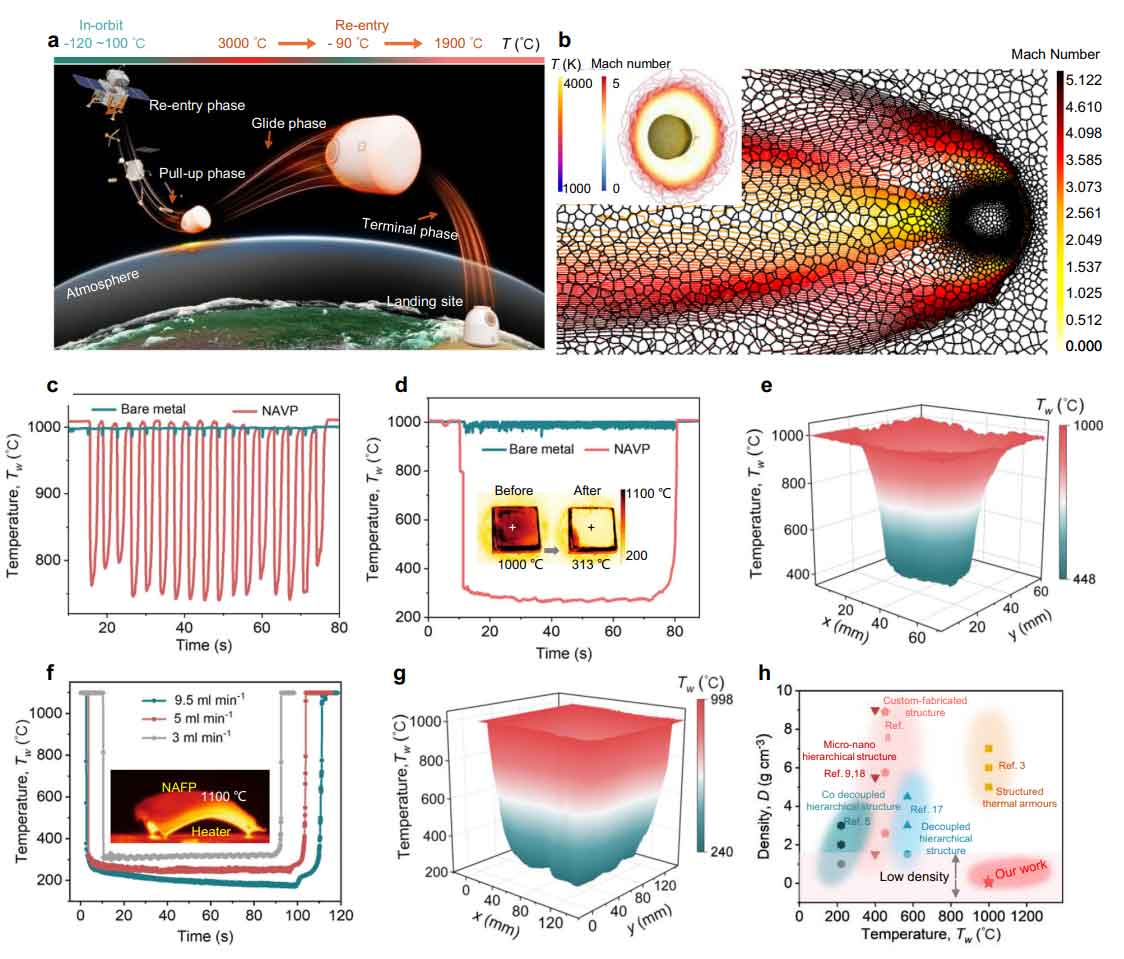 image-(7).jpg image-(7).jpg