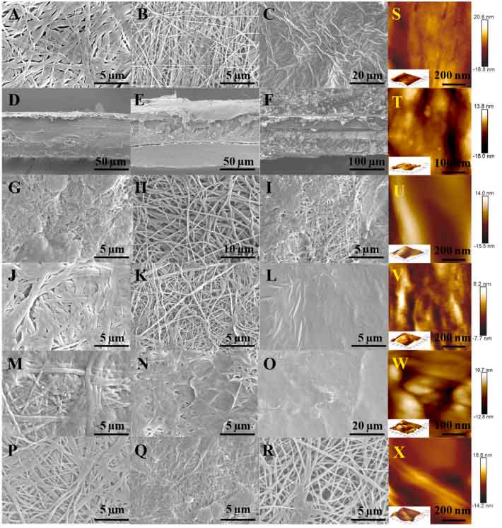 image-(2).jpg image-(2).jpg