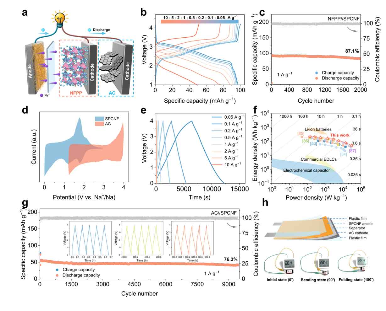 image-(5).jpg image-(5).jpg