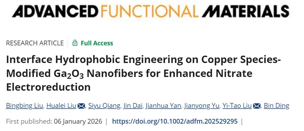 image-(4).jpg image-(4).jpg