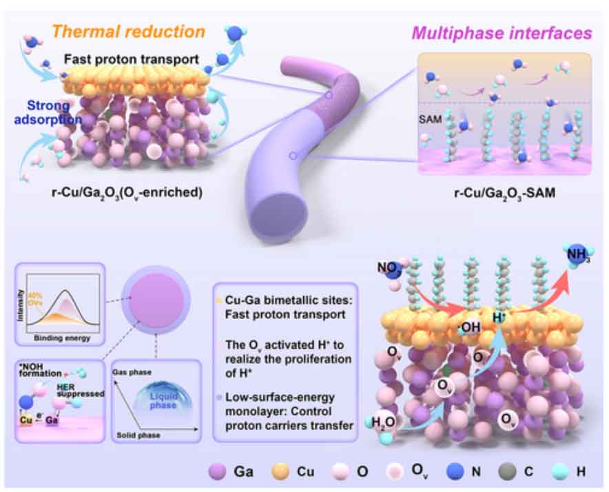 image-(5).jpg image-(5).jpg