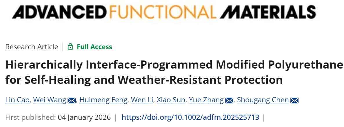 image-(6).jpg image-(6).jpg