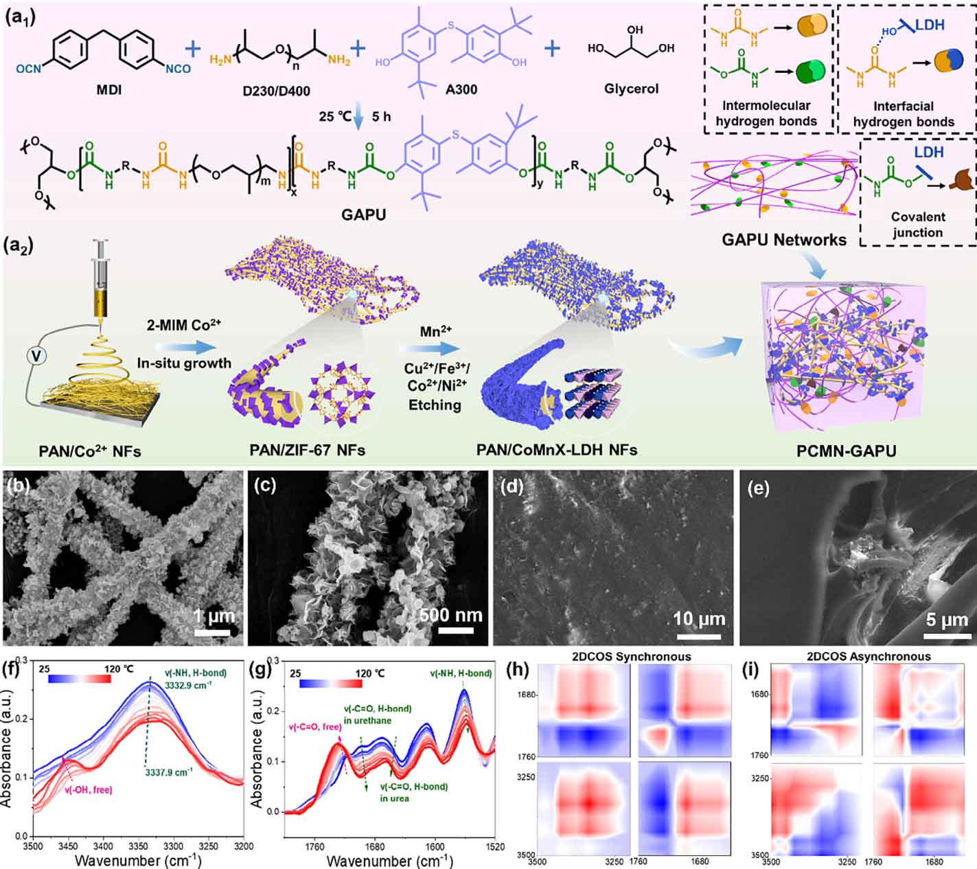 image-(7).jpg image-(7).jpg