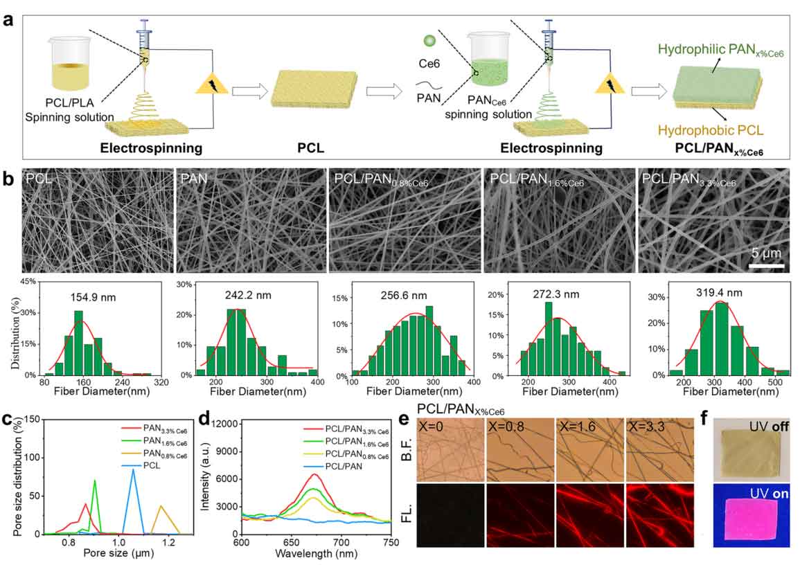 image-(2).jpg image-(2).jpg