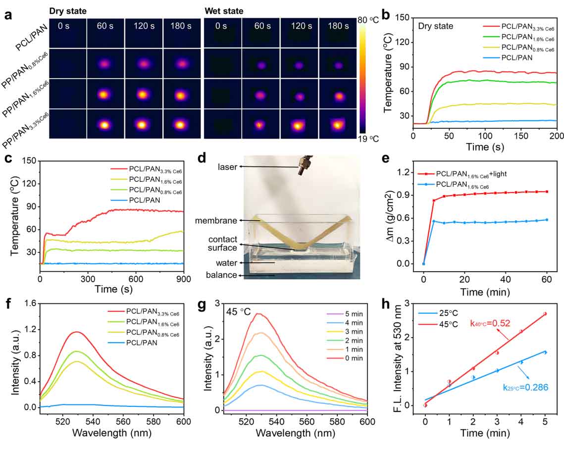 image-(4).jpg image-(4).jpg