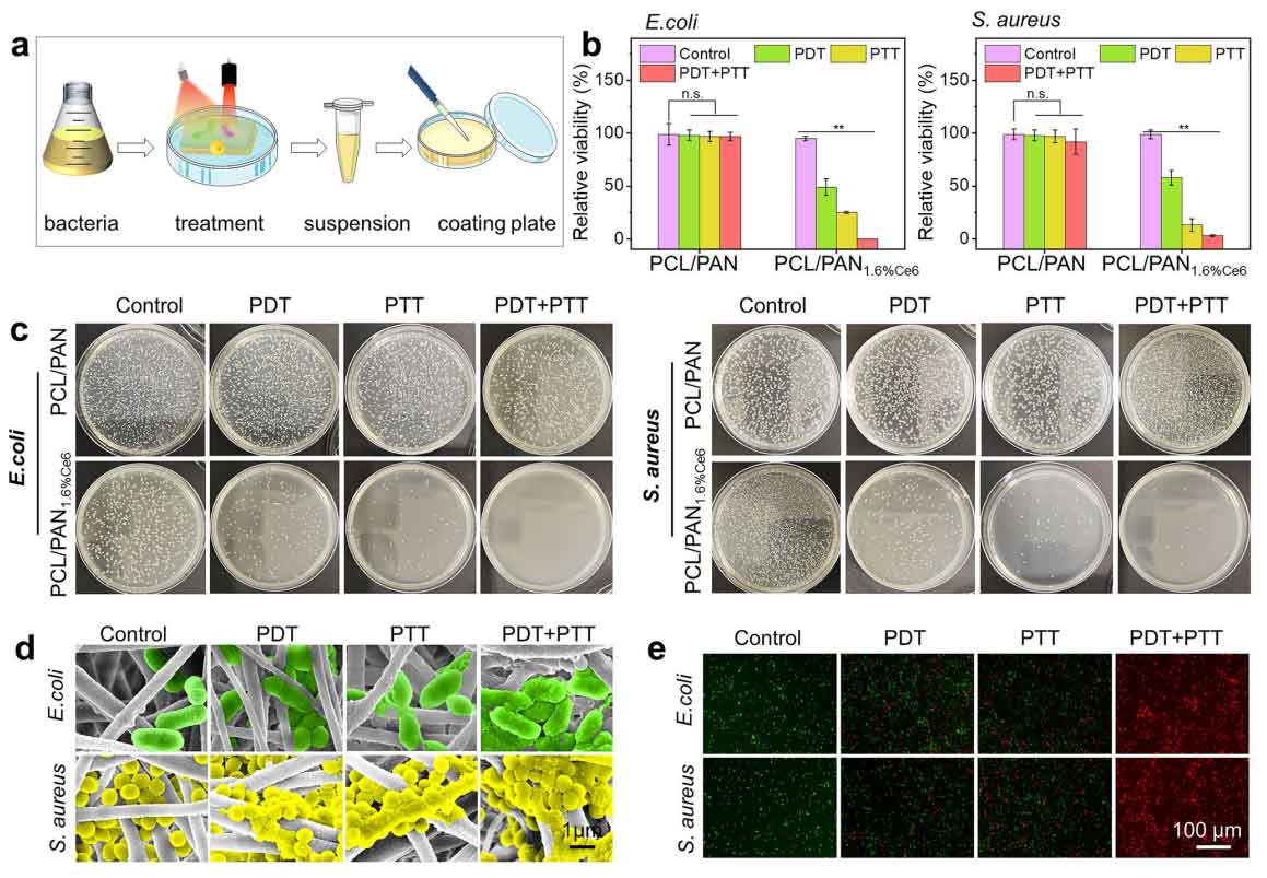 image-(5).jpg image-(5).jpg