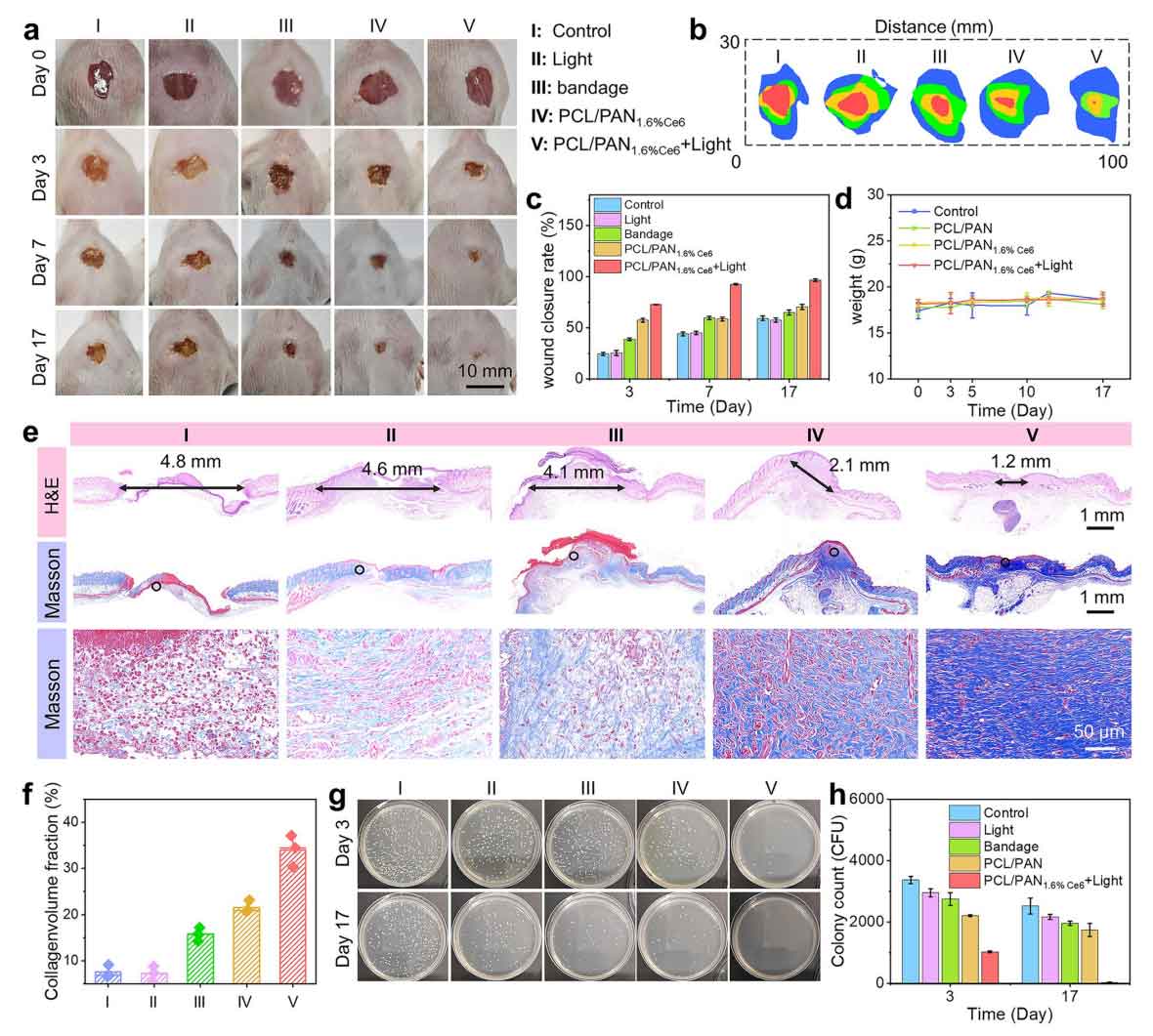 image-(6).jpg image-(6).jpg