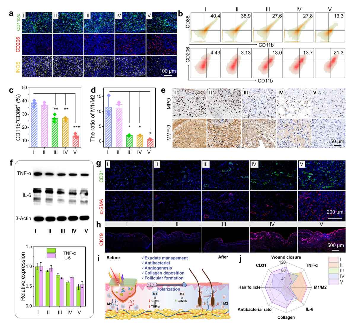 image-(7).jpg image-(7).jpg