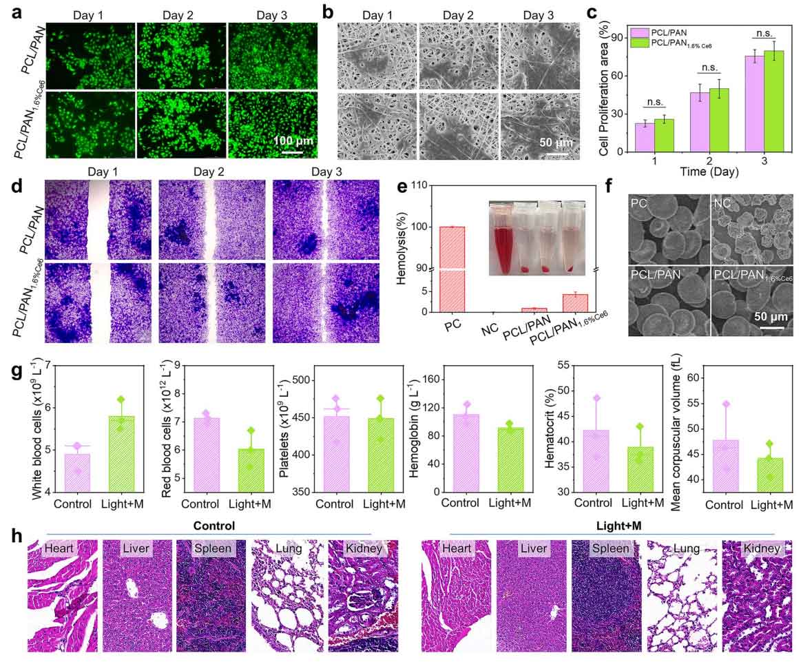 image-(8).jpg image-(8).jpg